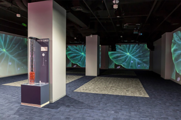 [photo] Tokyo Tower Welcome Lounge room with FP-Z5000 systems projecting leaf images unto walls