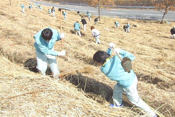 [image]Employees join in tree-planting activities