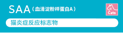 [Image]​ SAA（Serum amyloid A）is inflammatory marker for cat.​